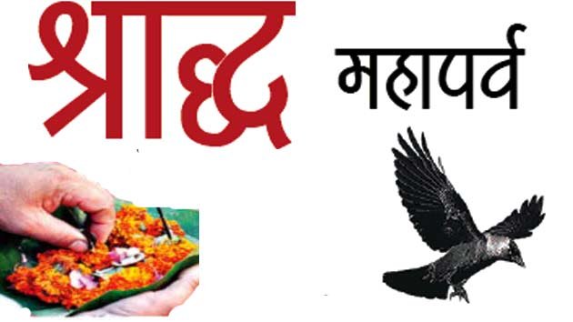 varshik-shradh Varshik Shradh - Image 1